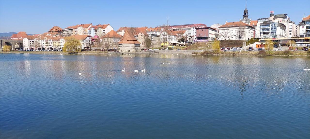 La Studio Maribor Bagian luar foto